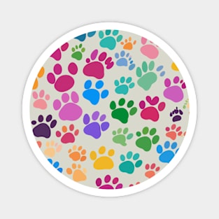 Colorful Cat Paws Magnet